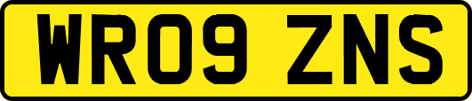 WR09ZNS