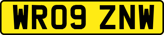 WR09ZNW