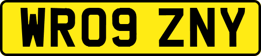 WR09ZNY