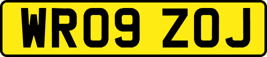 WR09ZOJ