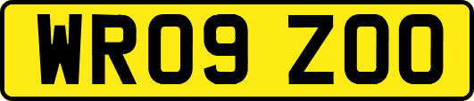 WR09ZOO