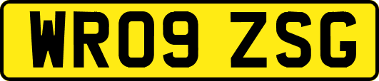 WR09ZSG