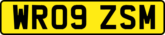 WR09ZSM