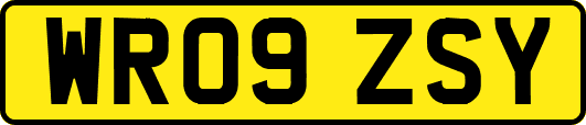 WR09ZSY