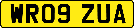 WR09ZUA