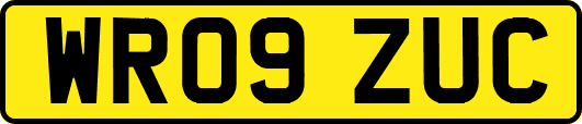 WR09ZUC