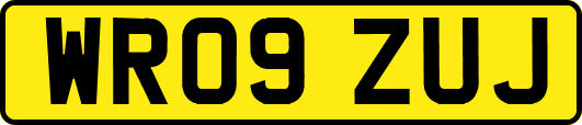 WR09ZUJ
