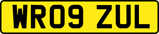 WR09ZUL
