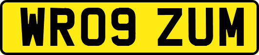 WR09ZUM