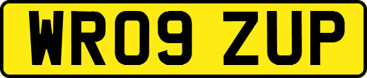WR09ZUP