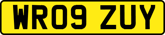 WR09ZUY