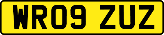 WR09ZUZ
