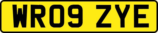 WR09ZYE