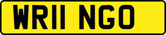 WR11NGO