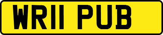 WR11PUB