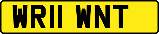 WR11WNT