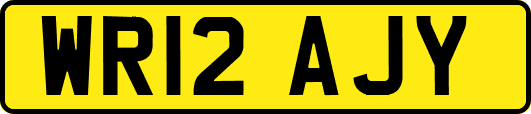 WR12AJY