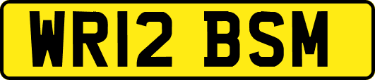 WR12BSM