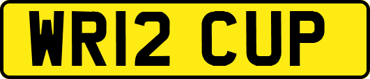 WR12CUP