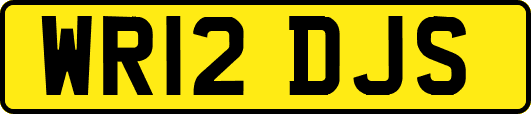 WR12DJS
