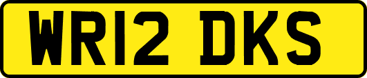 WR12DKS