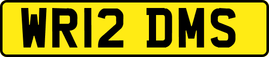 WR12DMS