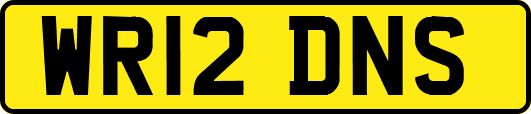 WR12DNS