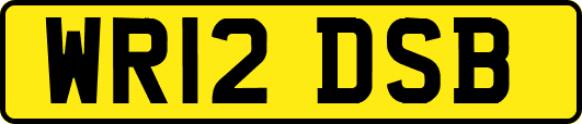 WR12DSB