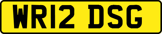 WR12DSG