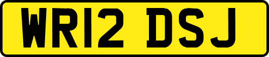 WR12DSJ