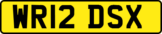 WR12DSX