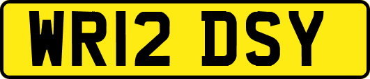 WR12DSY