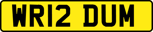WR12DUM