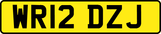 WR12DZJ