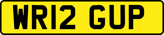 WR12GUP