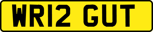 WR12GUT