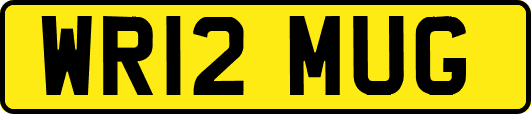 WR12MUG