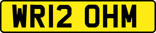WR12OHM