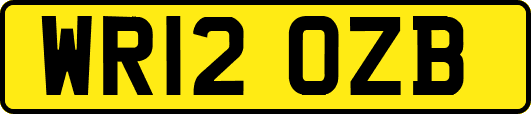 WR12OZB
