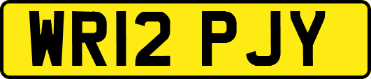 WR12PJY