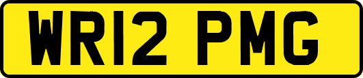 WR12PMG