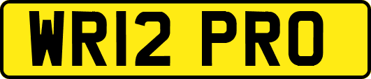 WR12PRO