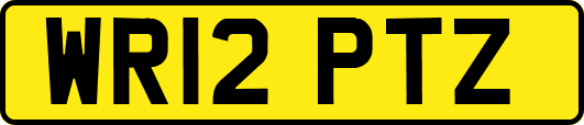 WR12PTZ