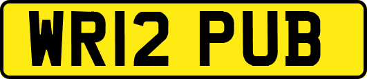 WR12PUB