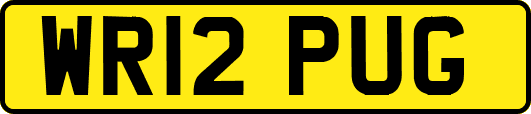 WR12PUG