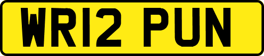 WR12PUN