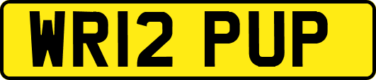WR12PUP