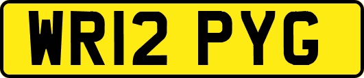 WR12PYG