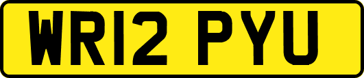 WR12PYU