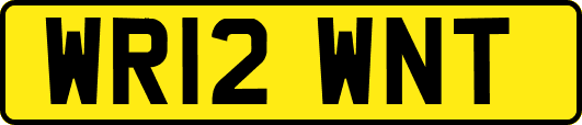 WR12WNT
